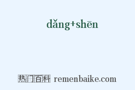 黨參是什么意思的图片